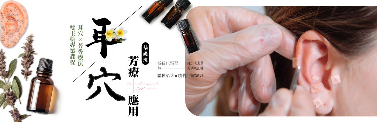 耳穴芳療