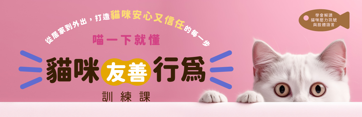 貓咪行為